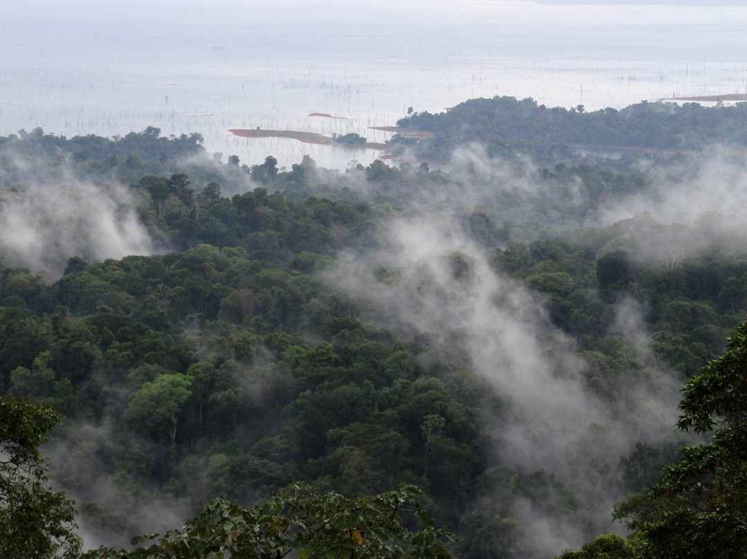 All Suriname Tours-帕拉马里博必去景点