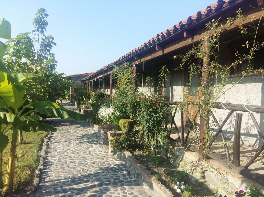 Villa Donkey
