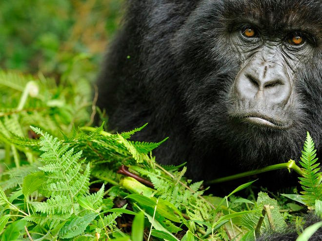 Explore RwandaTours-吉佳利必去景点