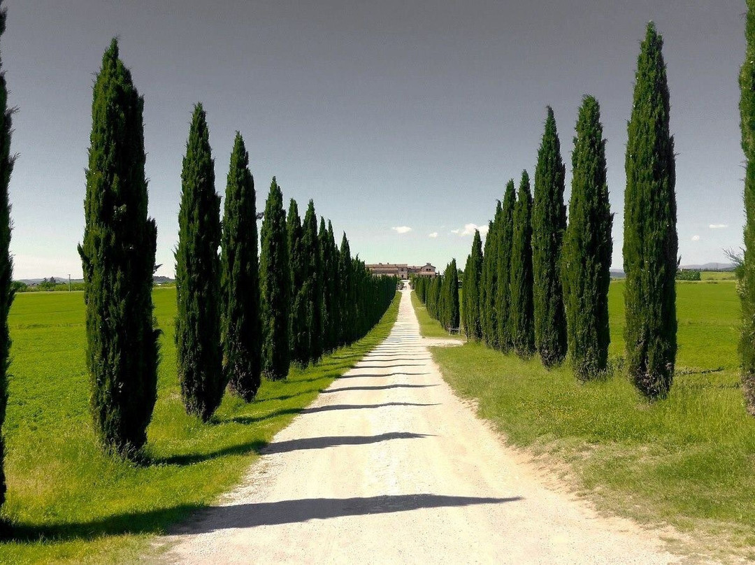 Francesco Tour-格罗塞托必去景点