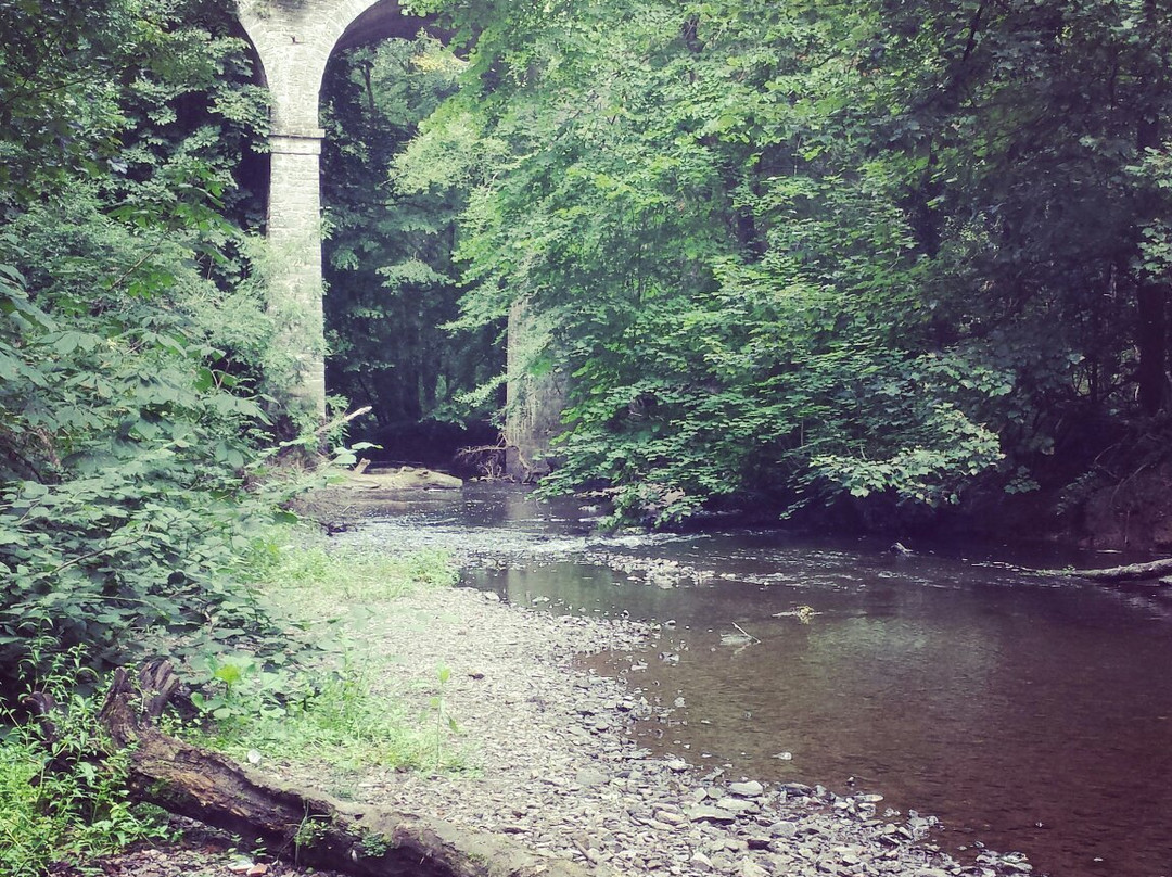 Courtown Woods-Gorey必去景点