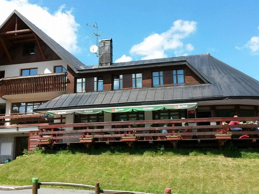 Penzion & Restaurant Veronika