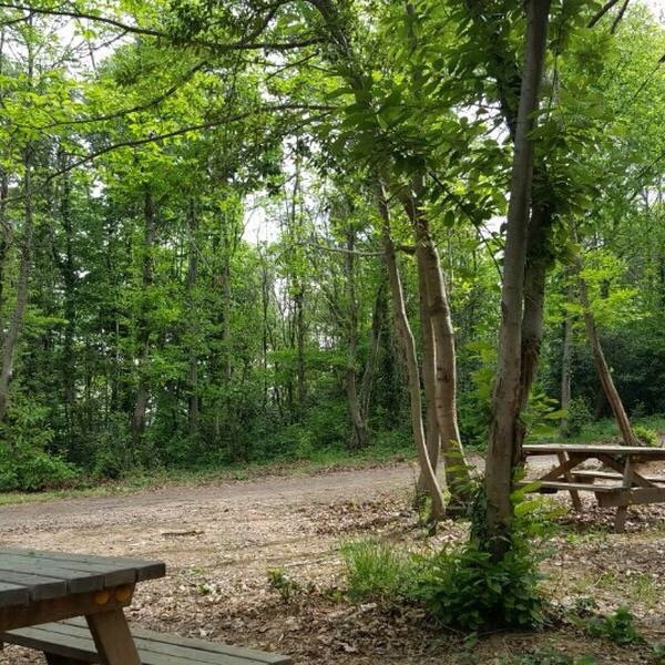 Kaymakdonduran Mesire Ormani-伊斯坦布尔必去景点