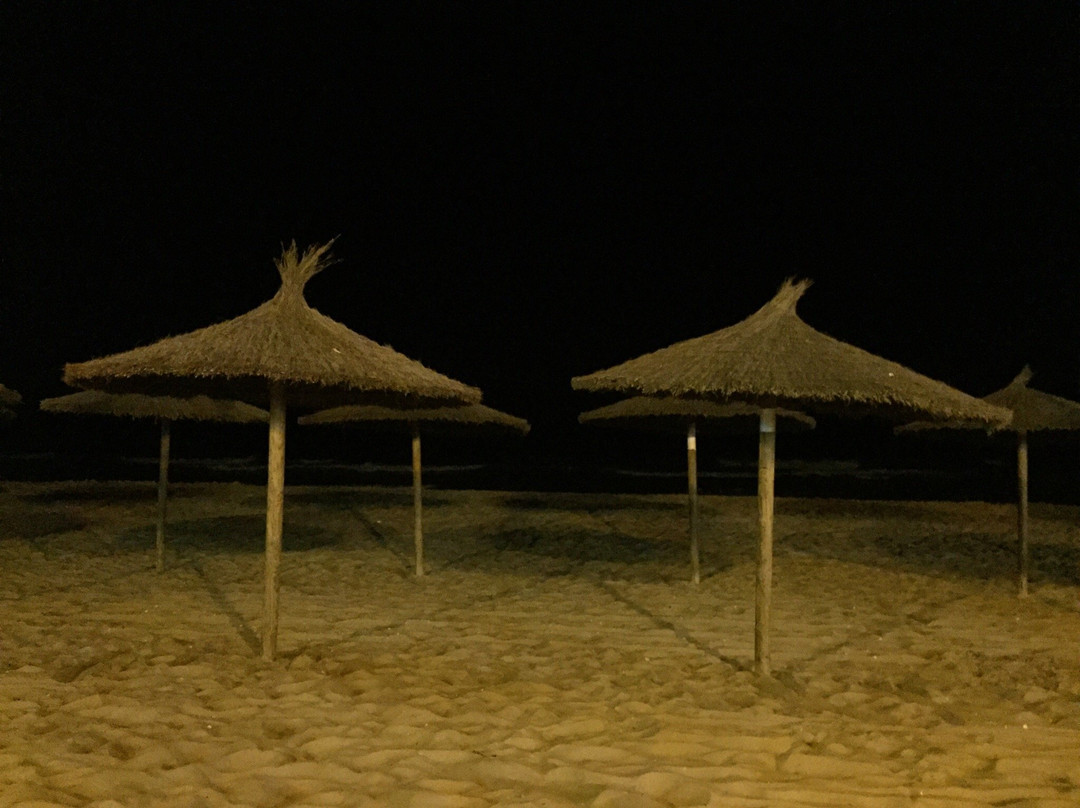 Hotel Paraiso Playa主图