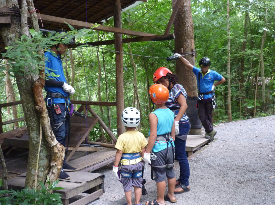 丛林滑翔-夜登必去景点