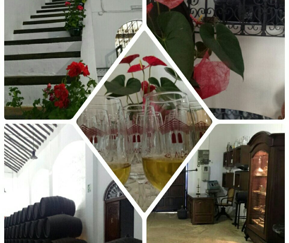 Museo Bodega El Alfoli-卢塞纳必去景点