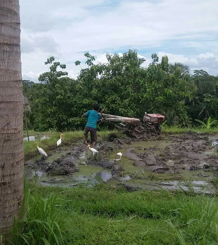 Ubud Bike Adventure-昂格桑必去景点