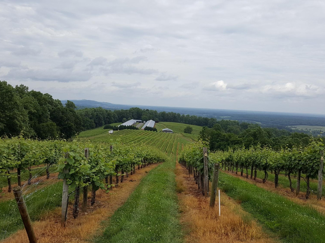 Honah Lee Vineyard-Gordonsville必去景点