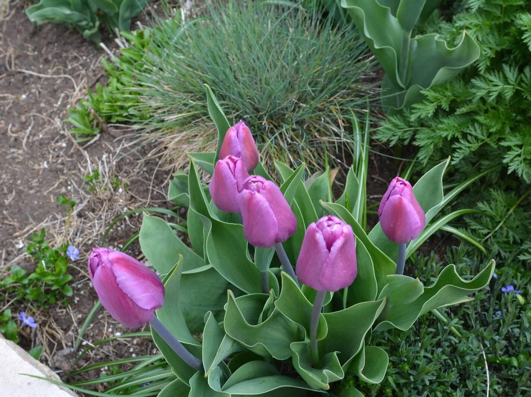 Gerald R. Ford Amphitheater (The Amp)-韦尔必去景点