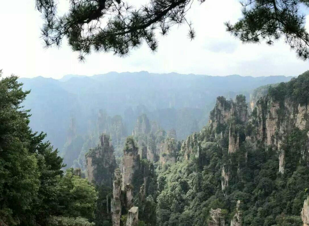 乌龙寨-张家界市必去景点