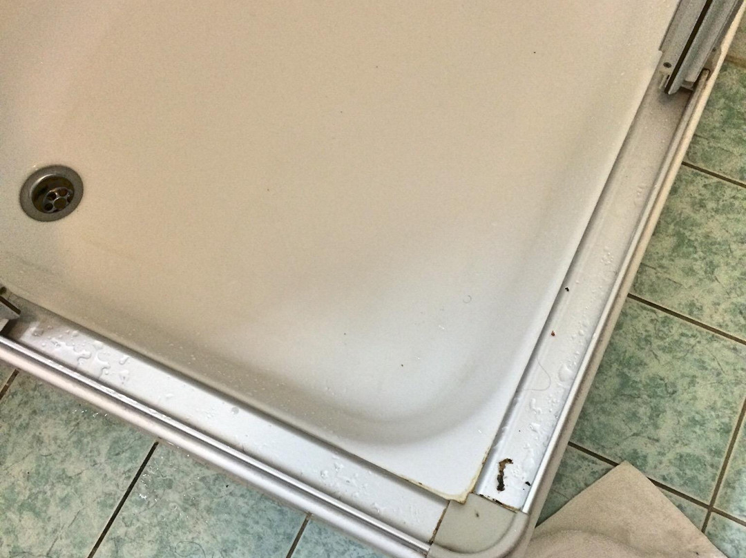 Parkhotel Bad Brambach主图