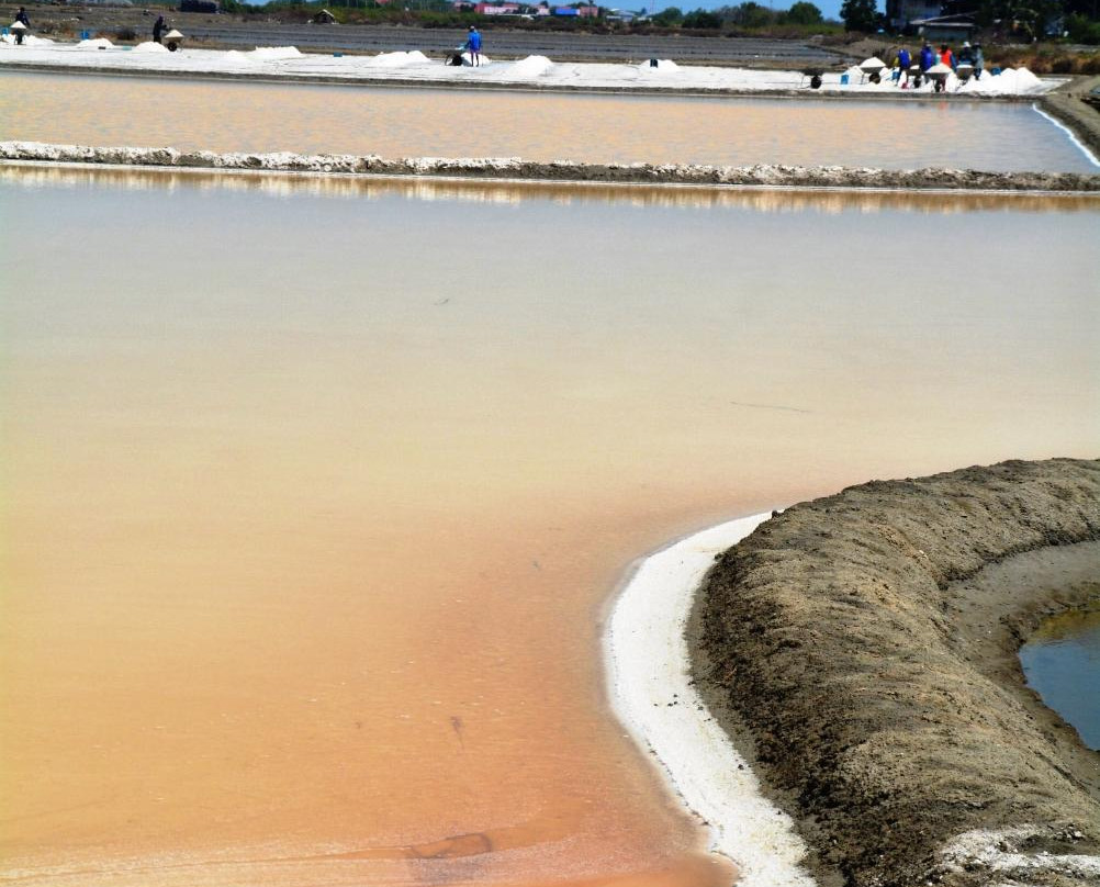 Salt Evaporation Pond-龙仔厝必去景点