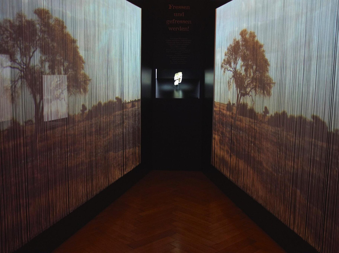 Museum MONREPOS景点图片