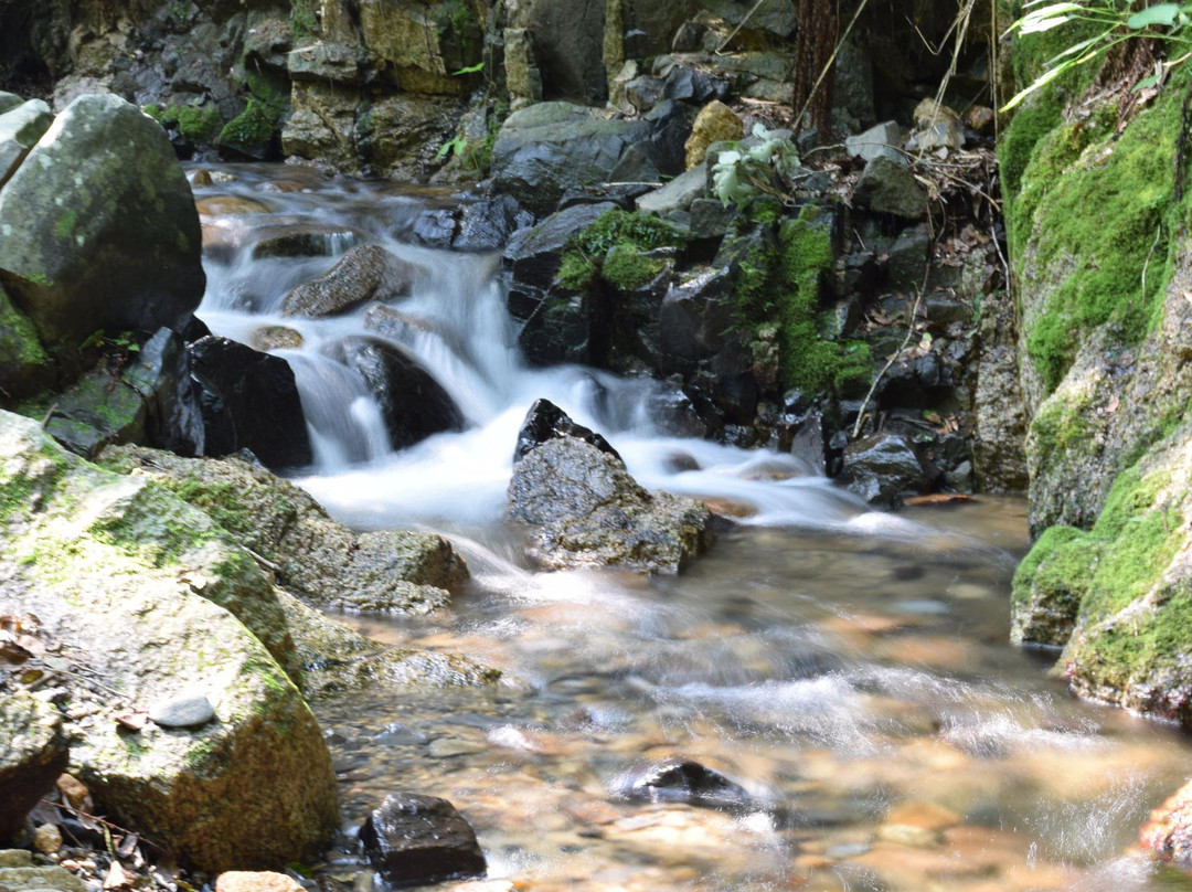 Yamashirocho Shinrin Park-木津川市必去景点