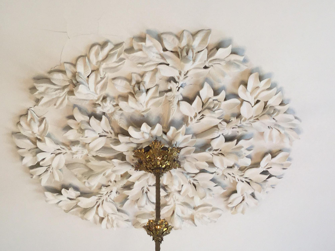 Magnolia Hall景点图片