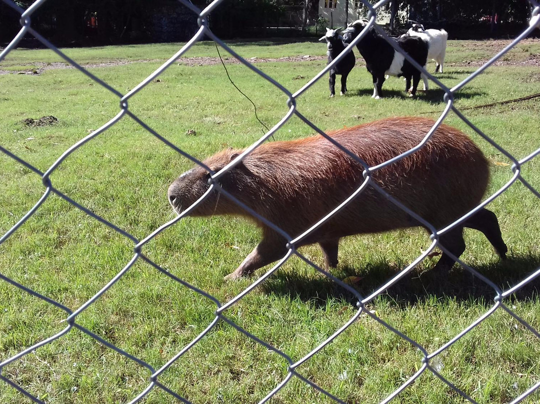 Parque Rodo-Minas必去景点