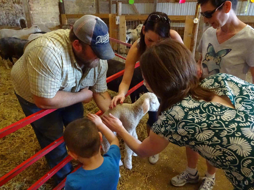 Havens Petting Farm-Blue Mounds必去景点