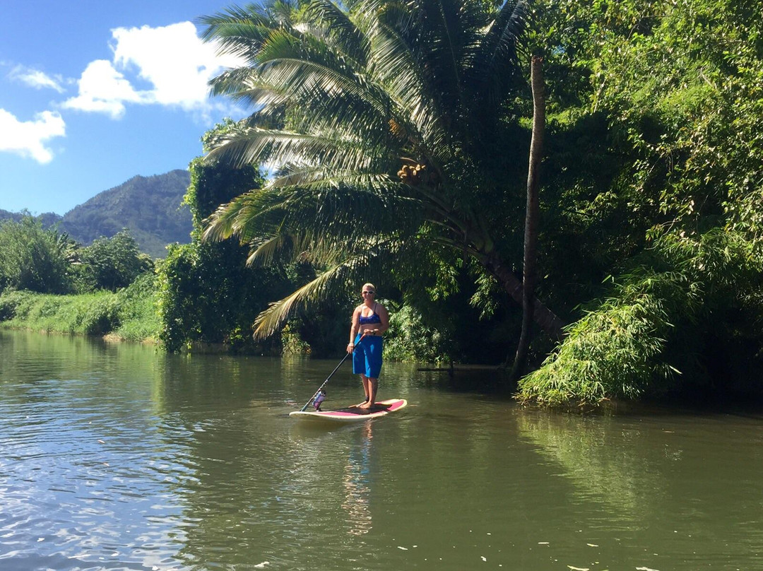 Turtle's Paddle Adventures-卡阿瓦必去景点