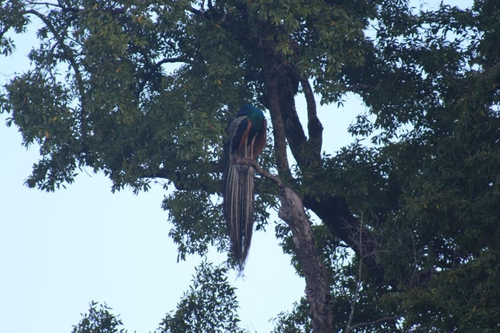 Fernando Adventure Safaries-哈巴拉娜必去景点