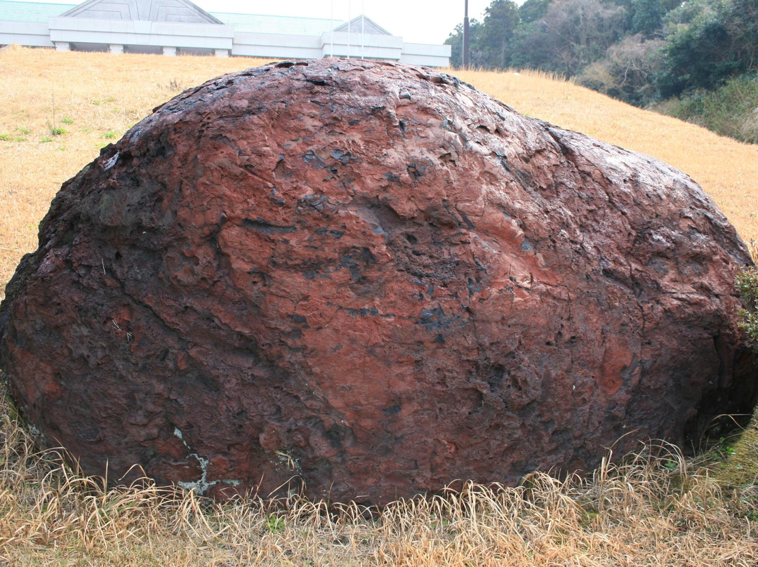 Izu Oshima Volcano Museum-大岛町必去景点