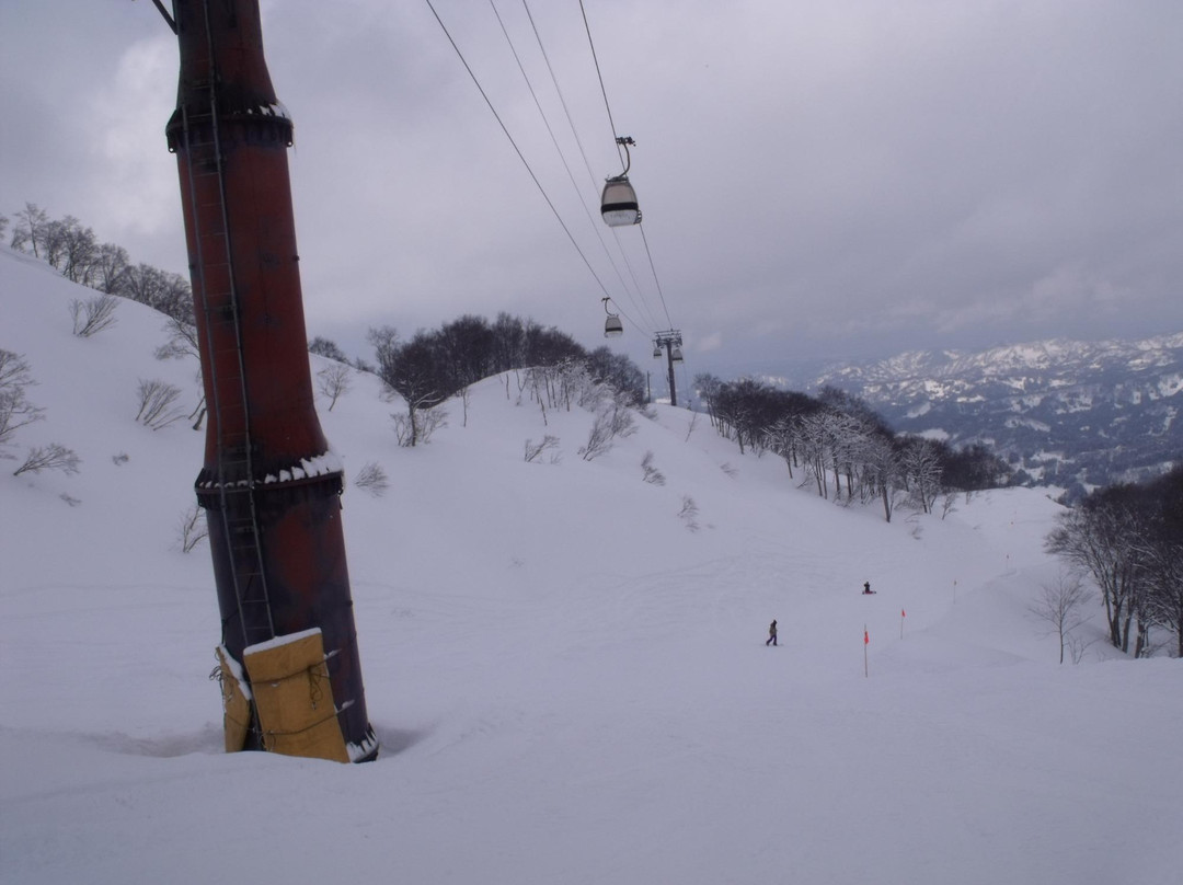 Cupid Valley Ski Resort景点图片