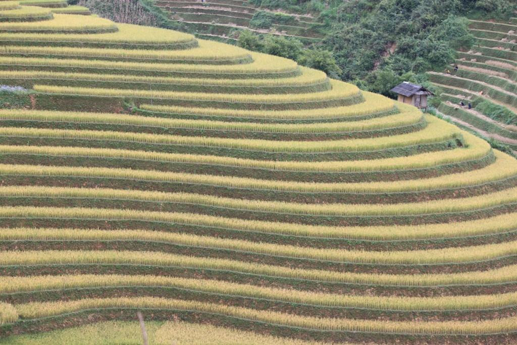 Travel Authentic - Day Tours-河内必去景点