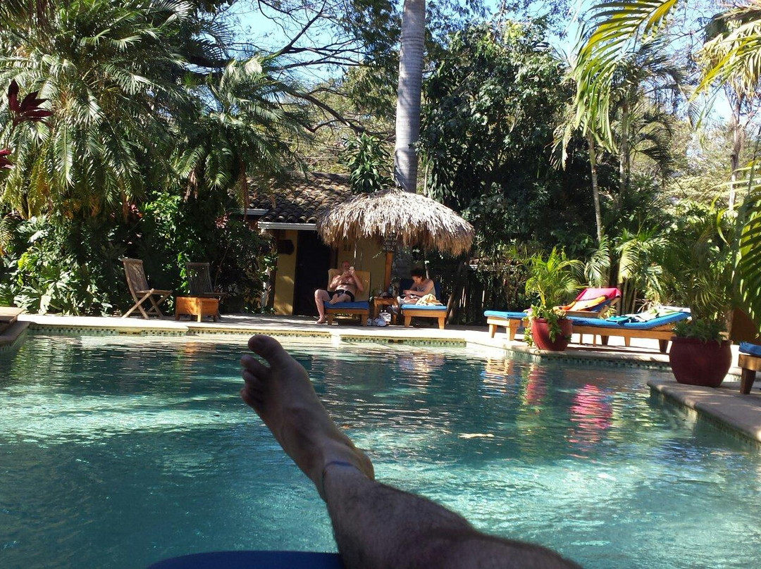 Waves Costa Rica Surf Adventures景点图片