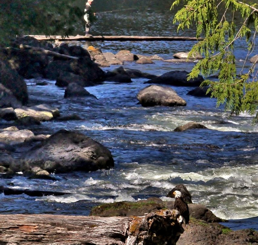 Marble River Provincial Park-Port Alice必去景点
