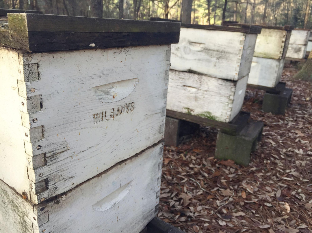 Watermelon Creek Vineyard-Glennville必去景点