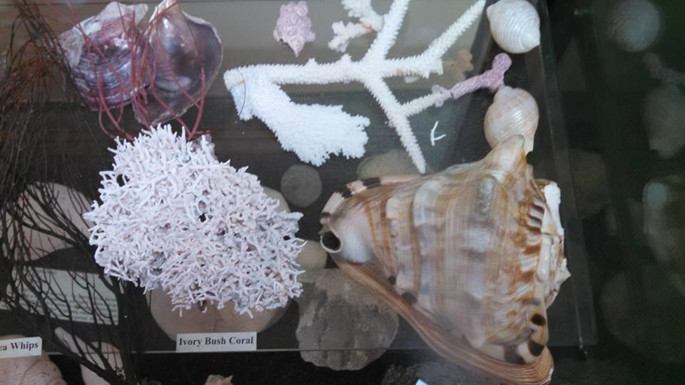 Sugarland Tours-克莱维斯顿必去景点