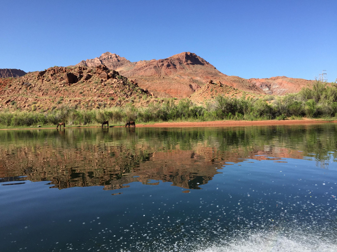 Lees Ferry On The Fly-大理石峡谷必去景点