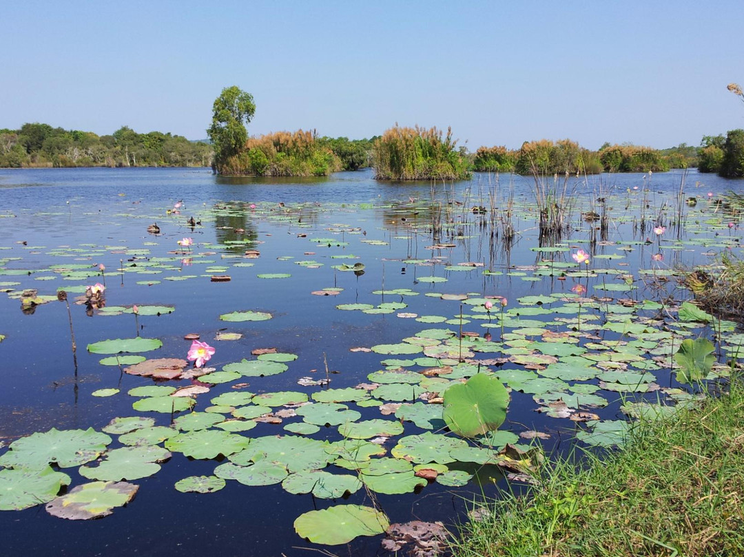 Rayong Botanical Garden