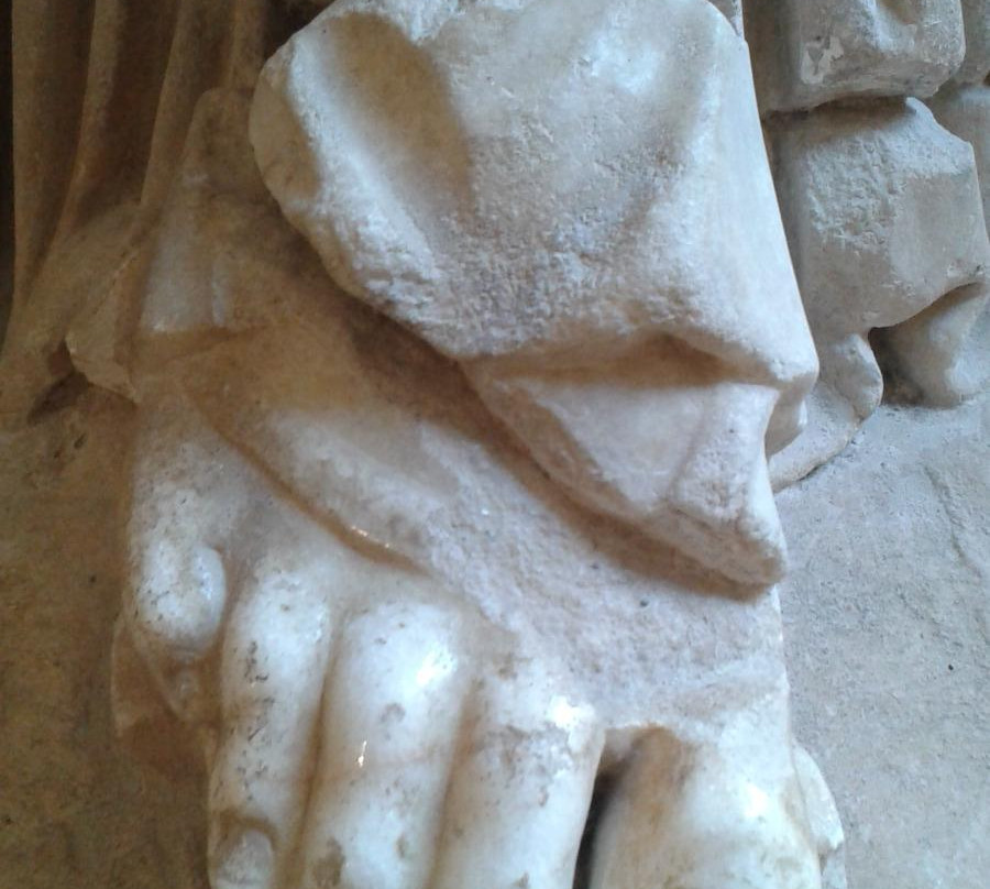 Museo Archeologico Nazionale di Sarsina景点图片