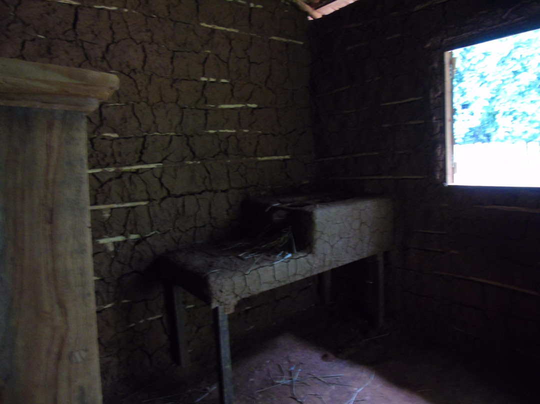 Parque Municipal Victório Siquierolli-乌贝兰迪亚必去景点