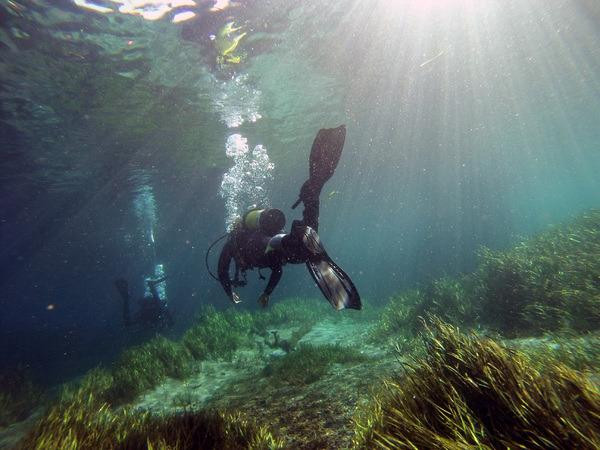 Dayo Scuba-奥兰多必去景点