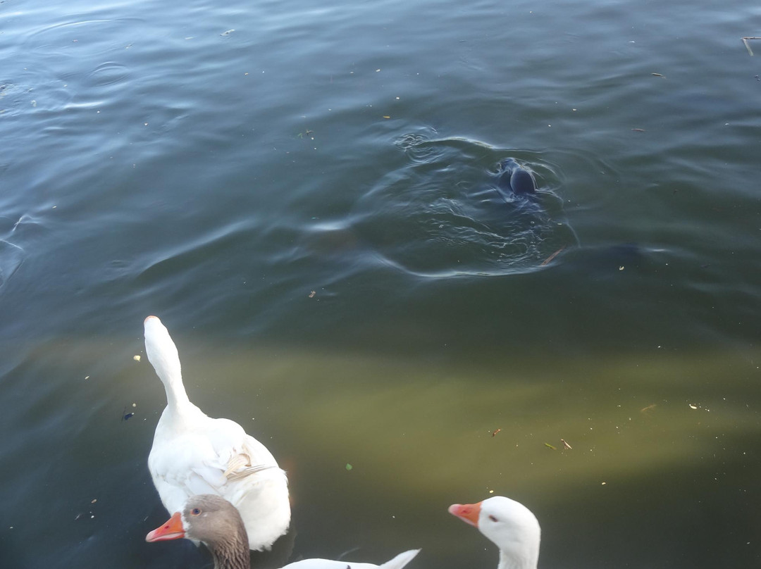 Parque Municipal Erivaldo Cerqueira-Feira de Santana必去景点