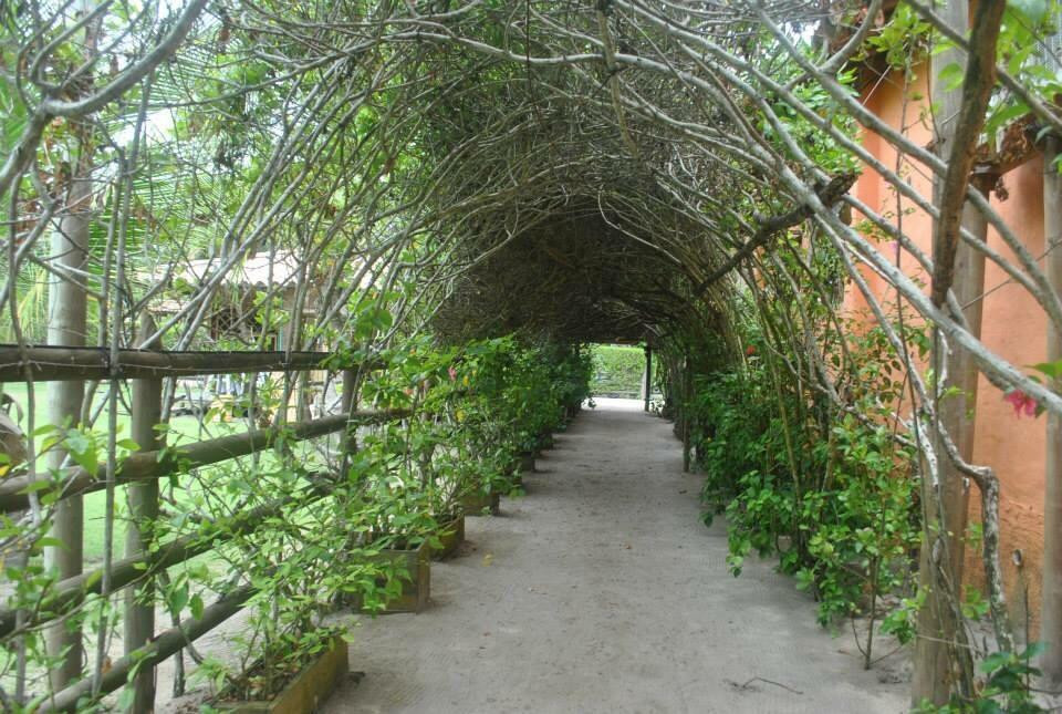 Centro Vacacional Camino Verde主图