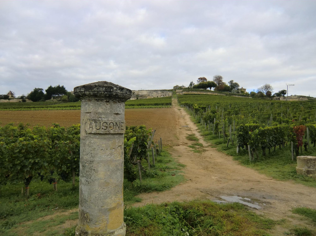 Chateau Ausone景点图片