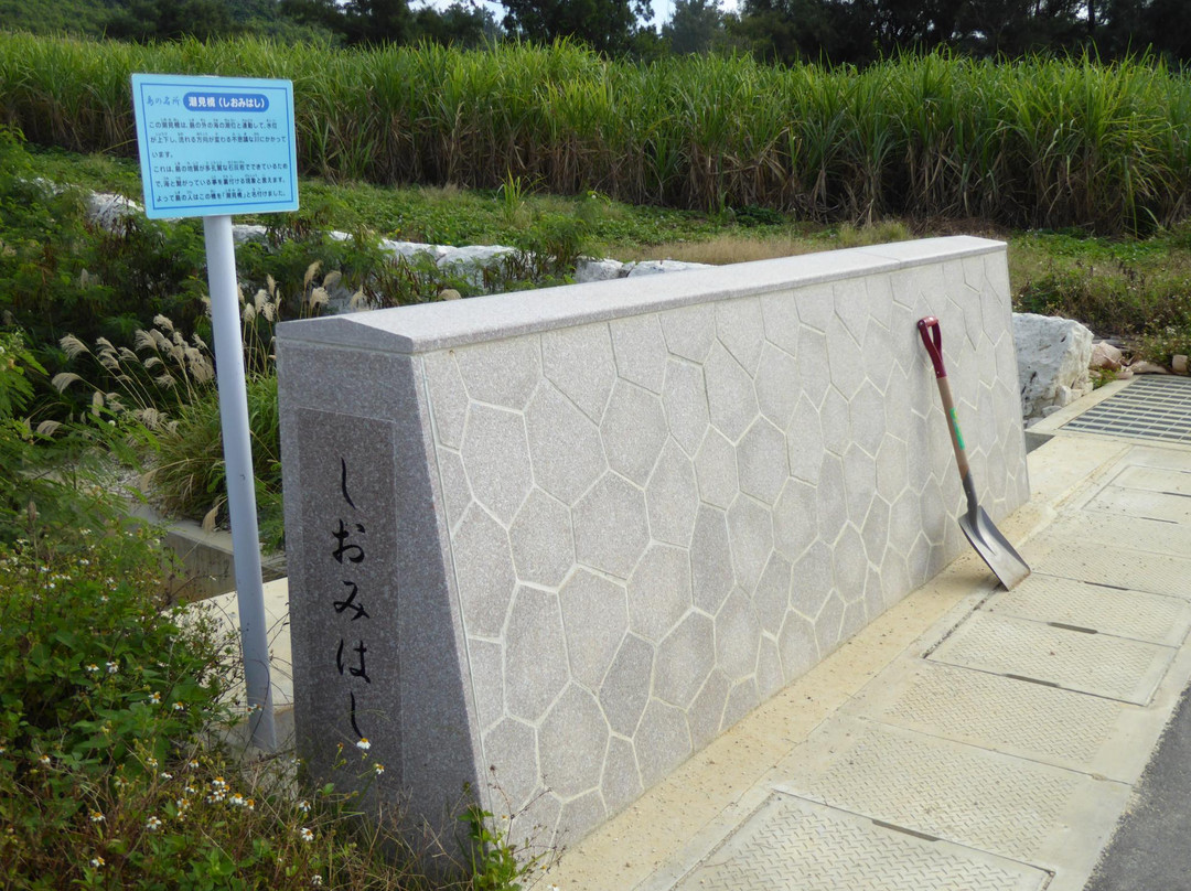 Shiomi Bridge景点图片