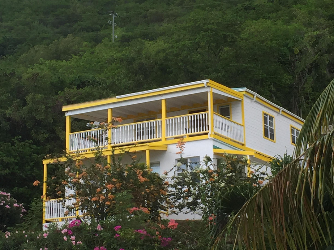 Jost Van Dyke酒店住宿-Ivan's Stress Free Guest House & Campground