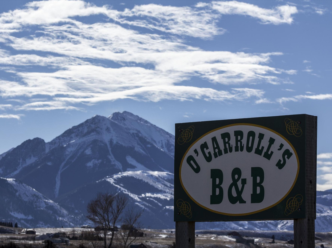 O'Carroll's Bed and Breakfast and Guest Cabin主图