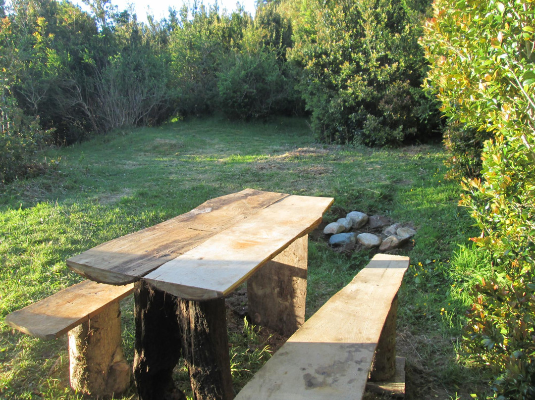 Camping Reldehue