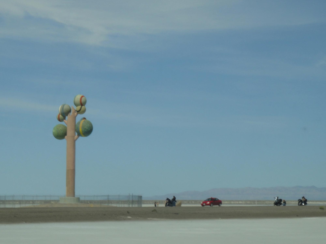 Metaphor - Tree of Utah-温多弗必去景点