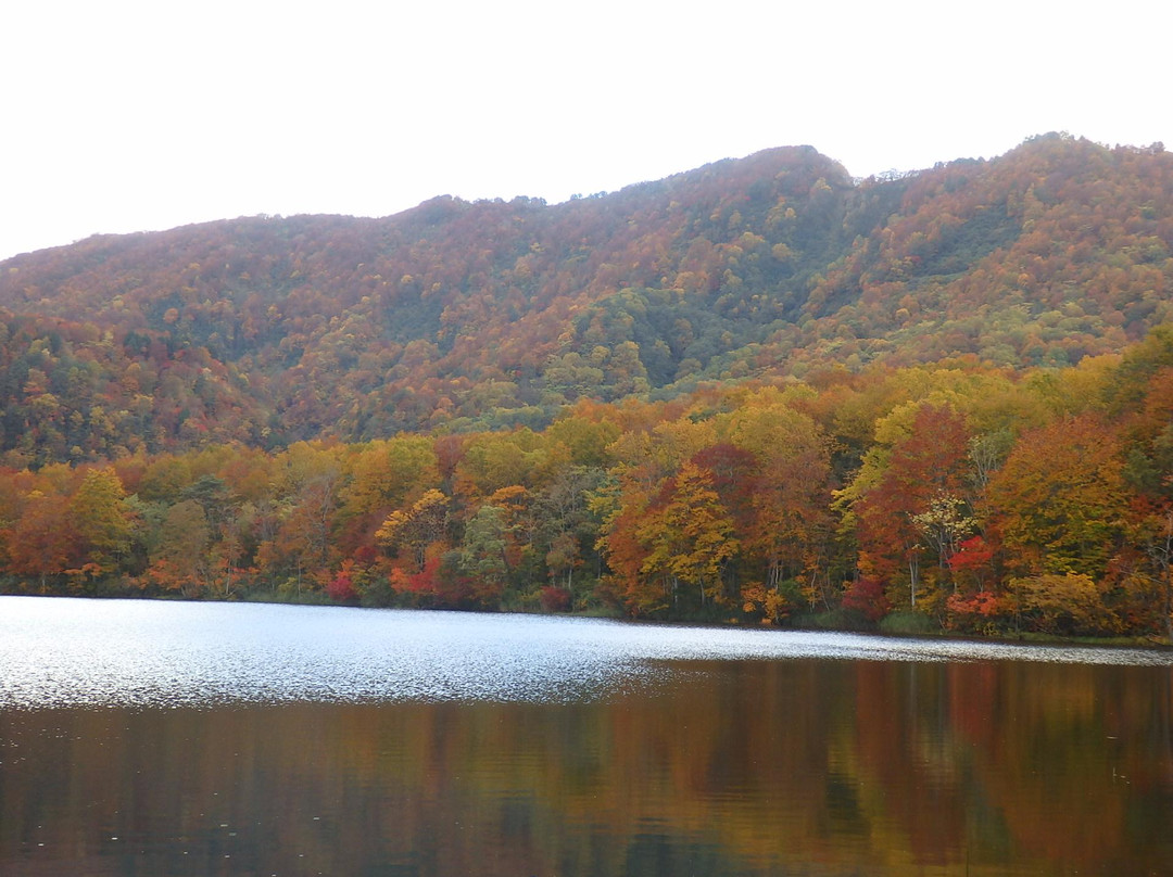Shiraike Lake景点图片