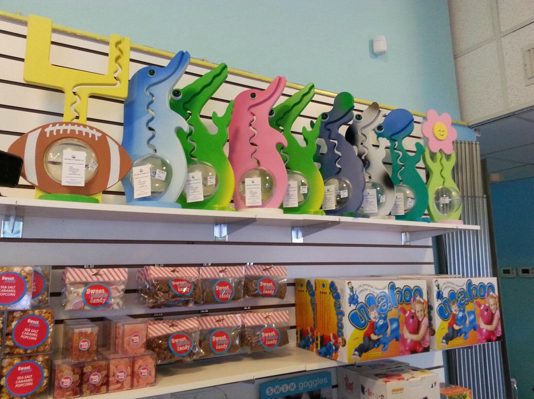 Villa Villekulla Neighborhood Toy Store-费尔南迪纳岛必去景点