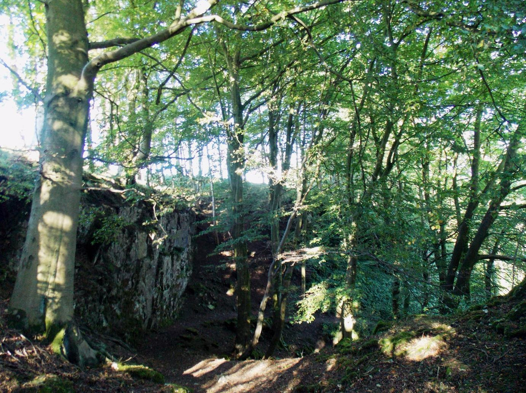 Catrigg Force Waterfall景点图片