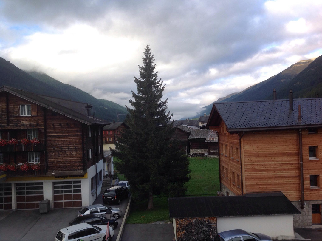 Hotel Alpina主图