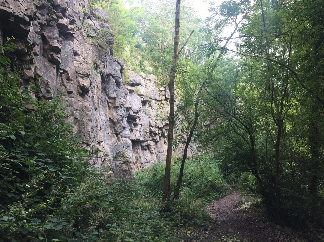 Warton Crag景点图片