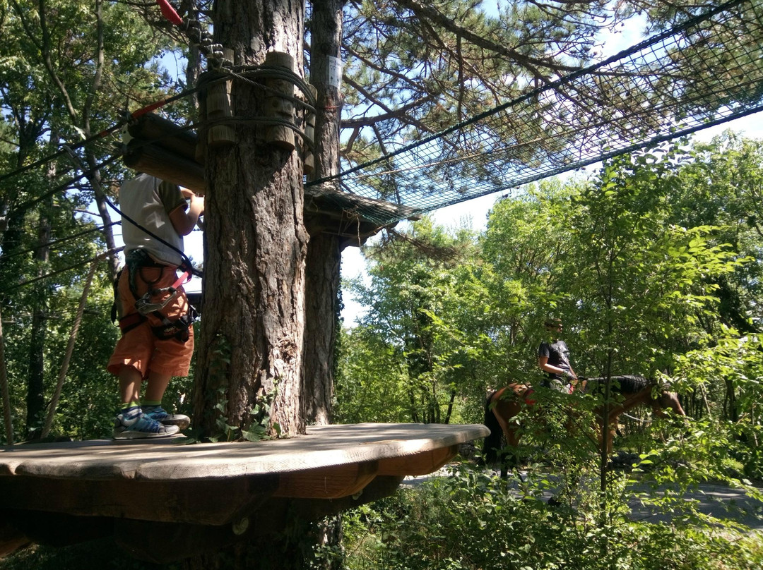 Trieste Adventure Park景点图片