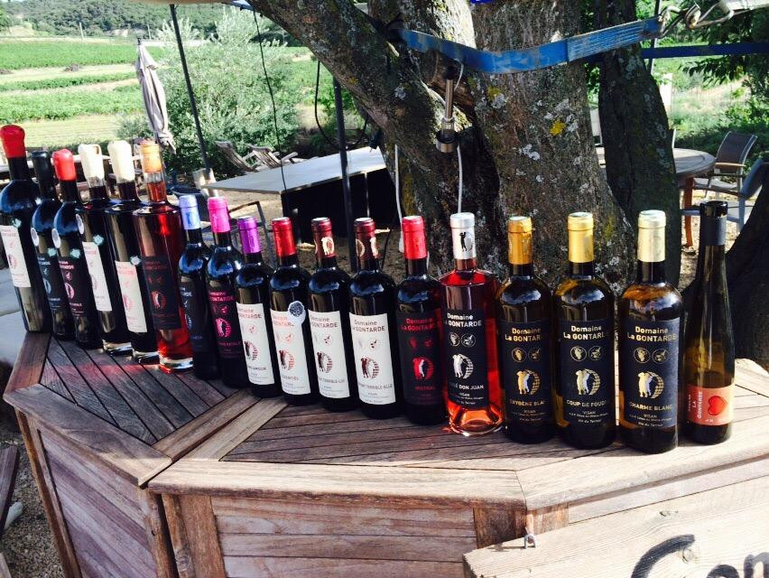 Domaine La Gontarde景点图片
